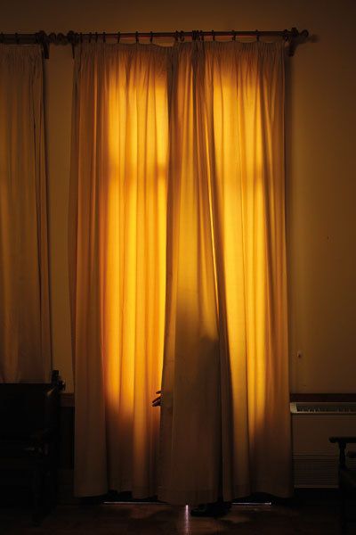 Natural Birthday, Yellow Things, Velvet Aesthetic, Royal Yellow, Yellow Curtains, Color Blind, Yellow Aesthetic, Light And Shadow, The Mind