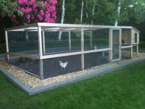 chicken coop with large yards | Chicken Runs | Saltbox Designs Chicken Barn, Portable Chicken Coop, Backyard Chicken Coop Plans, Chicken Coup, Chicken Coop Run, Coop Design, Chicken Run, Chicken Coop Designs, Keeping Chickens