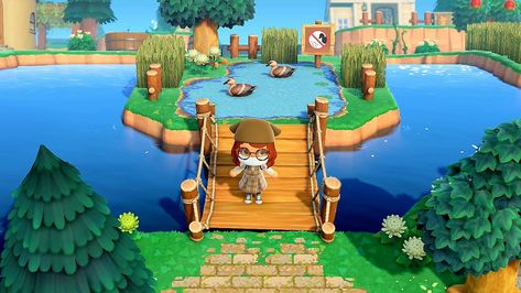 Animal Crossing Duck, Pond Acnh, Duck Island, Duck Pond, Island Ideas, Animal Crossing, Animals