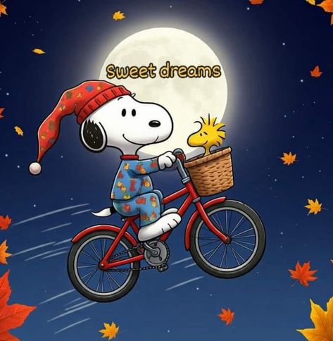 Happy Snoopy, Snoopy Images, Snoopy Quotes, Snoopy Pictures, Classic Cartoon Characters, Friendship Day Quotes, Snoopy Love, Charlie Brown Peanuts, Good Night Sweet Dreams