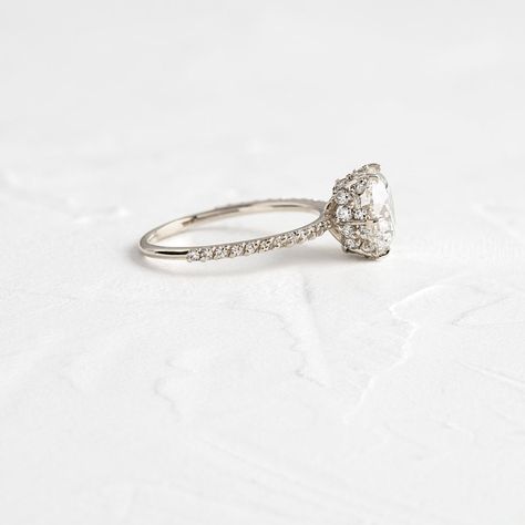 Unveiled Ring with Pave Band, 2ct. Round Cut Diamond | Melanie Casey Engagement Rings Melanie Casey, Handcrafted Engagement Ring, Melanie Casey, Round Engagement Rings, Pave Band, Necklace Chain Lengths, Round Diamond Engagement Rings, Gold Set, Necklace Sizes