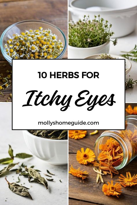 Find relief for itchy eyes with these herbal remedies. Discover natural solutions like herbal teas and home remedies to soothe irritated eyes. Kick dry eyes to the curb with nourishing herbs in allergy-fighting tea. Say goodbye to allergic conjunctivitis discomfort using herbs known for their benefits in managing itchy eyes. Explore the power of herbs specifically chosen to ease your discomfort and provide allergy relief, making your eyes feel refreshed and vibrant once again! Tea For Allergy Relief, Home Remedies For Allergies, Natural Remedies For Allergies, Heart Burn Remedy, Allergy Remedies, Itchy Eyes, Allergy Relief, Skin Detox, Herbal Teas