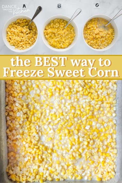 how to freeze corn on the cob Preserving Sweet Corn, Sweet Corn Freezer Recipe, How To Put Fresh Corn In Freezer, How To Freeze Fresh Sweet Corn, How To Preserve Fresh Corn, Frozen Corn Recipes Easy, Freezing Sweet Corn Without Blanching, Preserving Corn Recipes, Preserving Fresh Corn