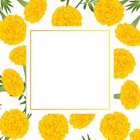 Yellow marigold on white banner card Pre... | Premium Vector #Freepik #vector #background #banner #flower #frame Flower Border Design, Flower Vector Art, Yellow Marigold, Indian Wedding Invitation Card Design, White Banner, Indian Wedding Invitation Cards, Flower Vector, Wedding Invitation Card Design, 카드 디자인