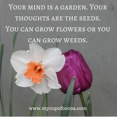 11 Inspirational Quotes For Spring • My Cup of Cocoa Quotes For Spring, Gardening Quotes Inspirational, Springtime Quotes, Flower Quotes Inspirational, Past Quotes, Spring Quotes, Quotes Arabic, Great Inspirational Quotes, Writer Quotes