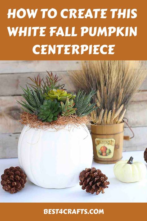 Discover a variety of elegant white pumpkin centerpieces to enhance your autumn decoration. Add a touch of sophistication to your fall table settings with these chic options that will elevate the overall look and feel of your seasonal decor. Autumn Tablescapes, Fun Halloween Party Food, White Pumpkin Centerpieces, Fall Pumpkin Centerpieces, Succulent Pumpkin, Place Settings Thanksgiving, Pumpkin Centerpiece, Autumn Decoration, Fall Table Settings