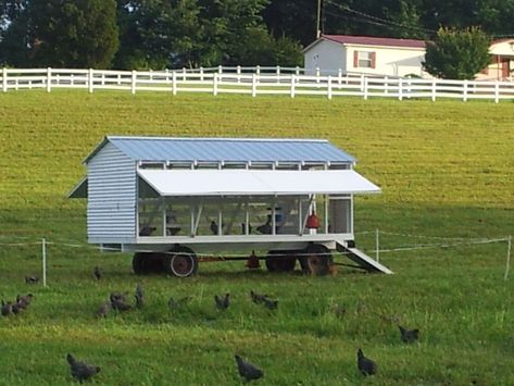 Our Egg Mobile, Egg Cart'n, Roaming Hen House... etc | BackYard Chickens - Learn How to Raise Chickens Egg Mobile, Biodynamic Gardening, Hen Coop, Mobile Chicken Coop, Livestock Shelter, Chicken Shed, Nest Boxes, Hobby Farming, Chicken Coup