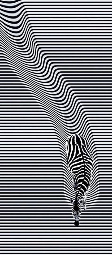 Illusion Art Black And White, Optical Illusion Background, Optical Illusion Mural, Opt Art Optical Illusions, Illusional Drawings, Optic Illusion Drawing, Optical Illusions Pictures Art, Optical Illusion Art Projects, 3d Pictures Optical Illusions