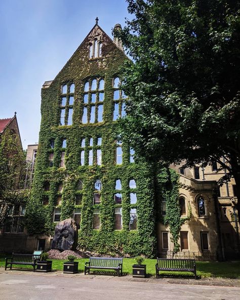 Manchester's Finest on Instagram: “⁠ The University of Manchester 🌿 #MCRFinest⁠ ⁠ 📷 @rachet1988” Manchester University, University Of Manchester, Salford, Manchester, University, House Styles, Travel, On Instagram, Instagram