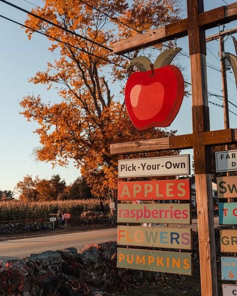 Apple Picking Aesthetic Fall, Fall Things To Do, Fall Pinterest Board, Apple Picking Aesthetic, Cute Fall Aesthetic, Fall Apple Picking, Fall Core, Tis Autumn, Autumn Bucket List