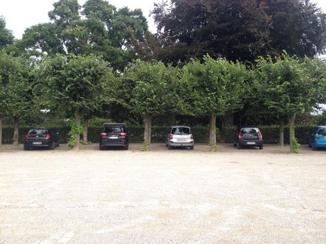 Beautilful carparking by the Botanical garden in Aarhus, DK. Photo: L.M. Bregenov Natural Parking Lot, Forest Resort, Landscape And Urbanism Architecture, Evergreen Hedge, Family Park, Structured Water, Eco City, Eco Life, Driveway Design