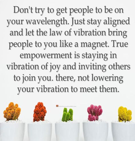 Don't try to get people to be on your wavelength. Just stay aligned and let the law of vibration bring people to you like a magnet. True empowerment is staying in vibration of joy and inviting others to join you. there, not lowering your vibration to meet them. #LifeLessons #lifeQuotes #dailyThoughts #dailyQuotes #quoteOfTheDay #quotesOfTheDay #dailyInspiration #inspire #inspireDaily #goodEvening #dailyThought #dailyMotivation #quote #RandomThoughts #RandomQuotes #RandomThought #RandomQuotes Wavelength Quotes, Vibrations Quotes, Law Of Vibration, Daily Thoughts, People Quotes, Staying In, Daily Motivation, How I Feel, Daily Quotes