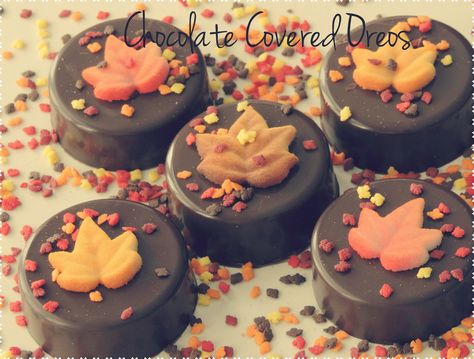 Fall Dipped Oreos, Halloween Decorated Oreos, Chocolate Covered Oreos Thanksgiving, Thanksgiving Cake Pucks, Fall Chocolate Covered Oreos, Thanksgiving Chocolate Covered Oreos, Fall Oreos, Thanksgiving Oreos, Sunflower Treats