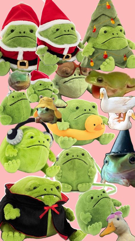 Ricky, the frog jelly, cat frog duck Ricky The Rain Frog, Ricky Rain Frog Jellycat, Jelly Cat Frog, Jellycat Frog, Frog Jellycat, Frog Jelly, Ricky Rain Frog, Bf Gift, Rain Frog