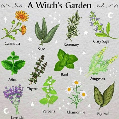 Witchy Herbs To Grow, Witches Herb Garden, Tea Garden Plants List, Gardening Witchcraft, Witch Garden Ideas, Witch Herb Garden, Witchy Garden Ideas, Witchy Herb Garden, Green Witch Garden