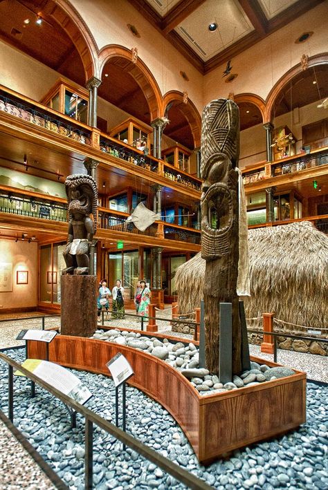 Hawaiian Hall, Bishop Museum, Hawaiʻi State Museum of Natural and Cultural History, Honolulu, Hawaii Bishop Museum, Hawaiian History, Oahu Vacation, Tiki Tiki, Interesting Place, Hawaiian Culture, Hawaiian Vacation, Polynesian Culture, Hawaii Life