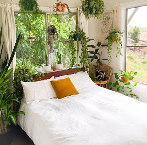 Placing a Bed Against a Window and How to Make It Work Bed Under Window, Bohemian Bedrooms, Bedding Design, Dream Bedrooms, Fancy Decor, Window Ideas, Bohemian Bedroom Decor, Bedroom Plants, Bohemian Bedroom