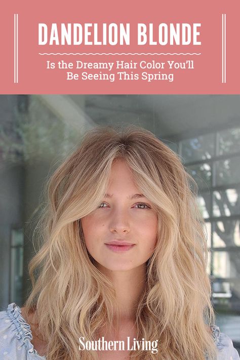 Choose a shade from the airy, fluffy baby blonde of a dandelion puff to the flaxen, bright butter blonde of a dandelion bloom. It's a trendy blonde hair color update for when you’re getting bored of the same old shade. #beautytips #hairinspiration #hair #haircolor #southernliving Dandelion Blonde, Trendy Blonde Hair, Soft Blonde Hair, Champagne Blonde Hair, Butter Blonde, Dreamy Hair, Baby Blonde, Strawberry Blonde Hair Color, Golden Blonde Hair