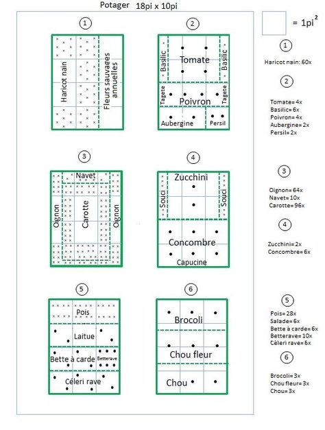 Plan de petit potager                                                                                                                                                                                 Plus Plan Potager, Jardim Diy, Small Vegetable Gardens, Vegetable Garden Planning, Vegetable Garden For Beginners, Garden Storage Shed, Potager Garden, Gardening Techniques, Square Foot Gardening