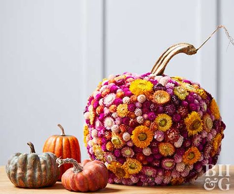 Add dried flowers to a faux pumpkin to create a pretty fall centerpiece. Fall Pumpkin With Flowers, Trendy Painted Pumpkins, Pumpkin With Dried Flowers, Dried Flower Painting, Dried Flower Pumpkin, Colorful Fall Decor, Fall Flower Ideas, New Fall Decorating Ideas, Unique Pumpkin Decorating Ideas