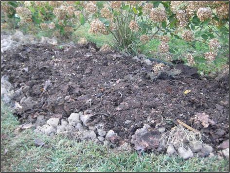 Make A Flower Bed, Garden Soil Preparation, Fall Vegetables To Plant, Germinating Seeds, Make A Bed, Home Gardens, Vegetable Garden Planning, Starting Seeds Indoors, Shade Flowers