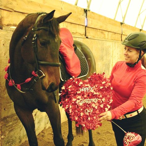 Valentine’s Day Equestrian Photo Shoot ottb Horse Fancy Dress, Valentine Photoshoot, Equestrian Photoshoot, Horse Valentine, Horse Photoshoot Ideas, Horse Heart, All About Horses, Photo Heart, Photoshoot Ideas