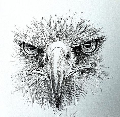 Animal Pen Sketch, Scribble Drawings, Pointalism Art, Biro Drawing, Eagle Artwork, Horse Art Drawing, Acrylic Art Projects, Animal Pen, Beautiful Art Paintings