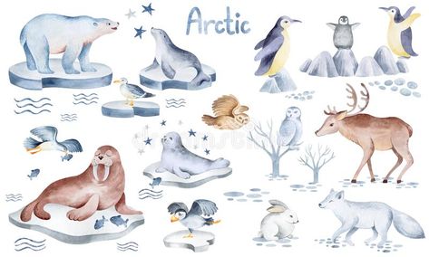 Set of arctic animals. Northern wild animals. stock photo Arctic Animals Illustration, Pen Projects, Photographer Profile, Animals Illustration, Arctic Animals, Wild Animals, Sea Animals, Photography Design, Professional Photography