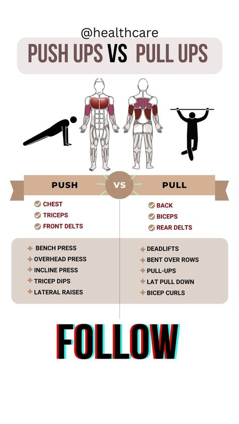 Push Day Muscle Groups, Push Pull Workout Routine At Home, Pull Ups Muscles Worked, Pull Up Muscles Worked, What Muscles Do Push Ups Work, Pull Up Benefits, Types Of Pull Ups, Push Up Benefits For Women, Pull Up Workout Training