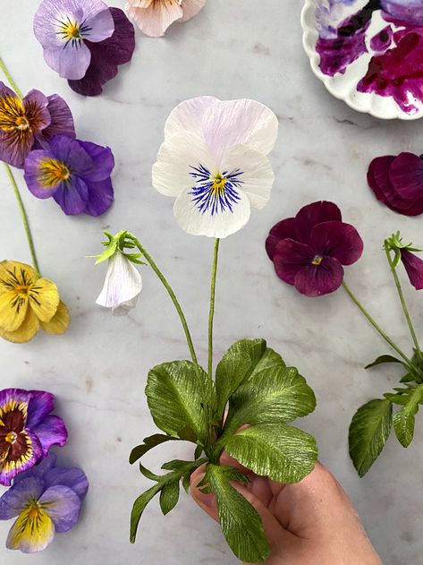 Crepe Paper Pansy Online Course Paper Pansy, Viola Flowers, Crepe Paper Flowers Tutorial, Crepe Paper Crafts, Viola Flower, Paper Flower Art, Paper Plants, Paper Flower Crafts, How To Make Paper Flowers