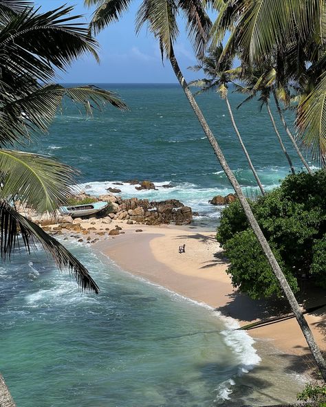 palm tree swim bikini crystal blue water on beach in Mirissa secret beach Sri Lanka Sri Lanka Mirissa, Sri Lanka Travel Photography, Sri Lanka Aesthetic, Mirissa Beach, Mirissa Sri Lanka, Life Core, Sri Lanka Beach, Coastal Life, Secret Beach