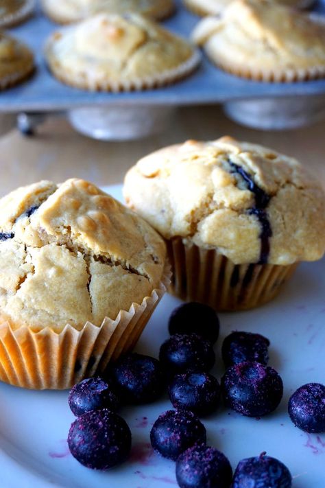 Einkorn Sourdough Starter, Sourdough Einkorn, Einkorn Sourdough, Paleo Blueberry Muffins, Gluten Free Sourdough Starter, Sourdough Muffins, Einkorn Recipes, Blueberry Muffin Recipe, Einkorn Flour