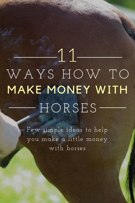 If you are a true horse lover who wants to make a bit of extra money for tack, feed, veterinary expenses, farrier fees and the like, there are quite a few paying tasks involving horses that you may be able to take on. In this article, we share few simple ideas to help you make a little money with horses. Read on to learn more. Horse Business Ideas, Horse Checklist, Stable Management, Horse Business, Horse Ownership, Horse Farm Ideas, Horse Care Tips, Reining Horses, Horse Info