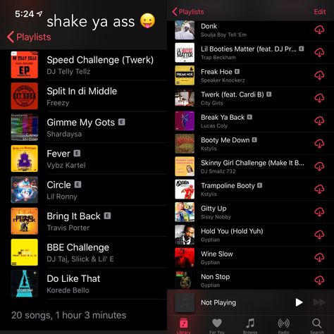 Playlist Names Twerking, Turnt Music Playlist, Party Bus Music Playlist, Gangsta Music Playlist, Throw Back Playlist Names, Shake Sum Playlist, Twerking Songs Playlist, House Party Playlist, Throw Back Playlist