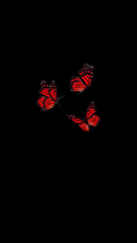 Red Buterfluffy, Red Aesthetic Butterfly, Red Butterfly Aesthetic, Red Butterfly Wallpaper, Black Asthetics Wallpers, Dark Red Butterfly, Red Black Butterfly, Cute Wallpapers For Android, Trippy Iphone Wallpaper