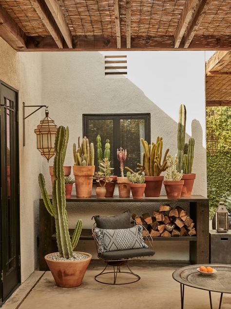 Cactus Garden Backyard, Cactus Outdoor Decor, Terra Cotta Patio Decor, Outdoor Cactus In Pots, Cactus Around Pool, Small Xeriscape Backyard, Mexican Yard Decor, Cactus Container Garden Ideas, Desert Container Gardening