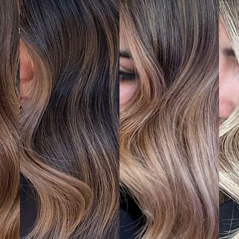 Oligo Professionnel on Instagram: "SWIPE FOR THE CALURA GLOSS FORMULAS BY @juahnn

Which one is your favourite?🤎

#brunette #balayage #highlights #hairsalon #hairstylist #haircolorist #hairinspo #dyedhair #shinyhair #healthyhair #caluragloss #calura #oligo #oligopro #haircolour" Brunette Balayage, Hair Colorist, Balayage Highlights, Which One Are You, Shiny Hair, Healthy Hair, Dyed Hair, Hair Inspo, Hair Salon