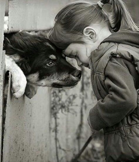 Black And White Photography, A Dog, Best Friend, Best Friends, Puppies, Pet, Dogs, Photography, Animals