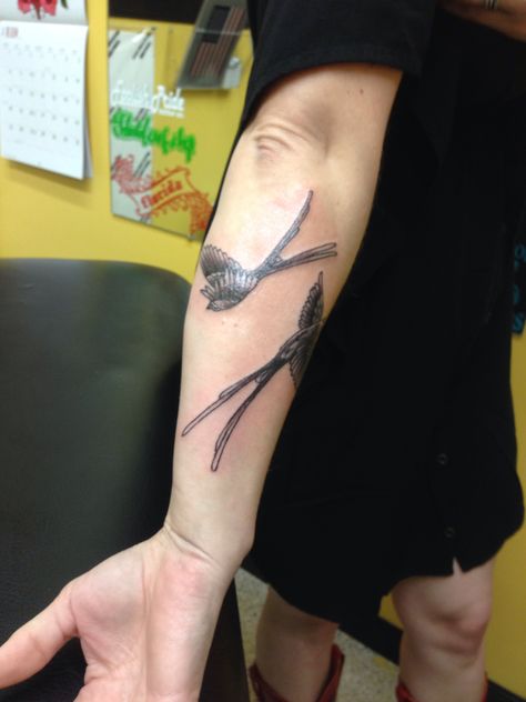 Two scissor tailed fly catchers . State bird of Oklahoma. Scissor Tail Fly Catcher Tattoo, Scissor Tailed Flycatcher Tattoo, Scissortail Flycatcher Tattoo, Luke Tattoo, Fly Catcher, Western Tattoos, Indian Paintbrush, State Birds, Forearm Tattoo Men