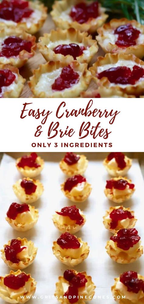 Cranberry Tartlets, Brie And Cranberry, Cranberry Appetizer, Cranberry Brie Bites, Cranberry Bites, Brie Cranberry, Cranberry Brie, Thanksgiving Appetizer Recipes, Holiday Appetizers Easy