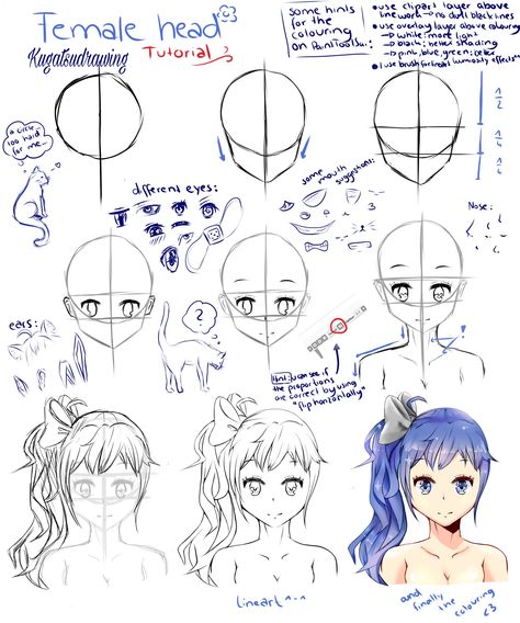 My first step-by-step tutorial, i hope it helps you(๑･̑◡･̑๑) how to draw a Manga girl head Anime Head Step By Step, Drawing Anime Head Step By Step, Manga Step By Step, How To Draw Anime Head Step By Step, Girl Head Drawing, Anime Face Structure Reference, Manga Tutorial Step By Step, Anime Head Tutorial Step By Step, Anime Head Toturial