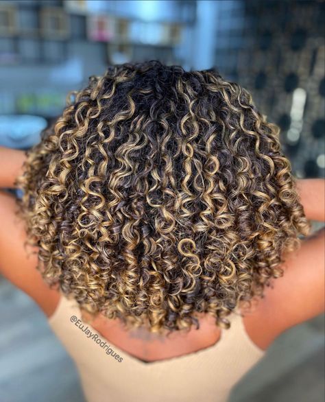 Curly Hair Color Ideas, Blonde Highlights Curly Hair, Curly Hair Color, Dyed Curly Hair, Highlights Curly Hair, Mixed Curly Hair, Blonde Curly Hair, Colored Curly Hair, Dyed Natural Hair