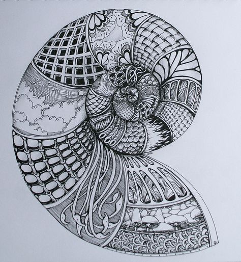 spiral shell by Deborah @ flickr - I love this! I'd fill it with different things, but I like the black and white and different patterns Zantangle Art, Zentangle Artwork, Tangle Doodle, Zentangle Designs, White Drawing, Tangle Art, Tangle Patterns, Zentangle Drawings, Doodles Zentangles