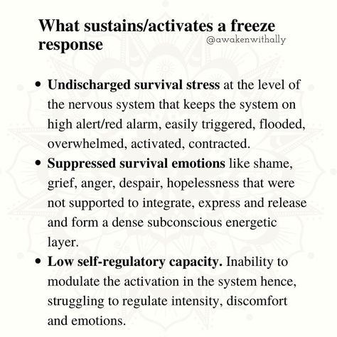 Overcoming Freeze Response, Freeze Response Symptoms, Freeze State Nervous System, Stuck In Freeze Response, Freeze Response Healing, Functional Freeze Response, Freeze Response, Bio Love, Moment By Moment