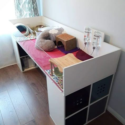 Diy Guinea Pig Cage Furniture, Indoor Guinea Pig Cage Ideas, Indoor Guinea Pig Cage, Guine Pig, Pig Habitat, Diy Rabbit Cage, Indoor Rabbit Cage, Guinea Pig Cage Ideas, Hedgehog Cage