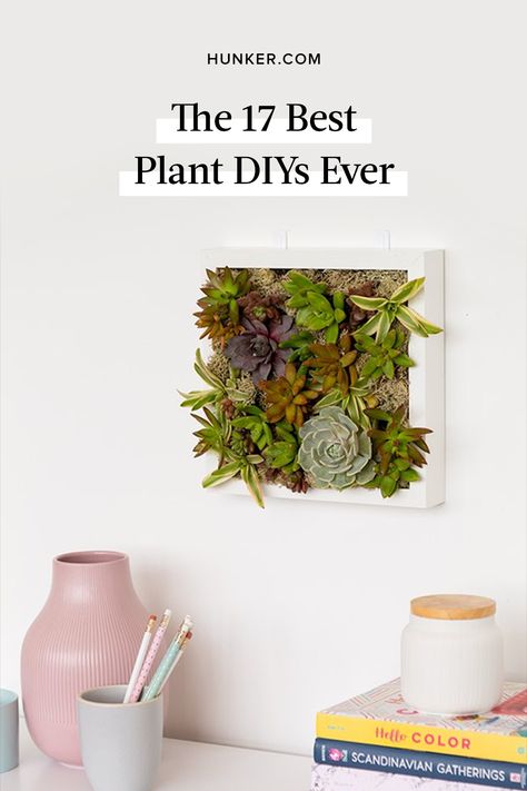 From a picture frame-turned-wall planter to an IKEA plant stand hack and beyond, here are 17 DIYs that let you show off your craft skills and houseplants — in style. #hunkerhome #plants #ikeaplants #ikea #plantdiy Plant Picture Frame, Framed Plants On Wall, Ikea Fejka Wall Ideas, Ikea Plant Wall, Ikea Plant Stand, Plant Wall Diy, Framed Botanical Art, Wall Planters Outdoor, Ikea Plants