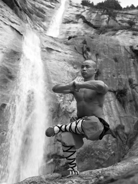 Crossfit Images, Shaolin Monastery, Qigong Exercises, Gym Images, Arte Yoga, Shaolin Monks, Shaolin Kung Fu, Motivational Images, Pencak Silat