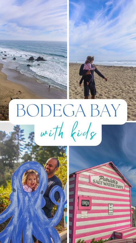 Things To Do In Bodega Bay, San Diego Things To Do In With Kids, Family Things To Do In San Diego, Monterey California With Kids, Santa Barbara With Kids, Bodega Bay California, Hollywood Sign Hike, California Outdoor, California With Kids