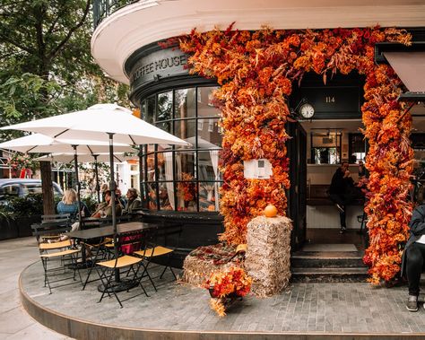 Spooky things to do for Halloween in Belgravia - Belgravia Things To Do For Halloween, Biscuit Icing, Halloween Tour, Belgravia London, Ghost Walk, Citrus Dressing, Spooky Food, Pumpkin Display, Spooky Things