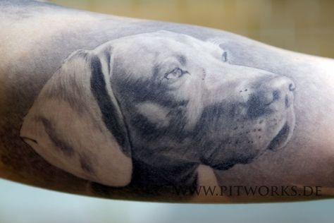 Weimaraner Tattoo, Bonsai Tree Tattoos, Tree Tattoo Arm, Dog Memorial Tattoos, Weimaraner Dogs, Paw Heart, Memorial Tattoos, Watercolor Effects, Tattoo Trends